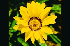 7.-Temmuz-2
