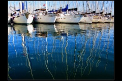 14.-Temmuz