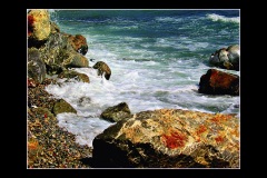 6.-Mart