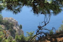 6-Temmuz-2
