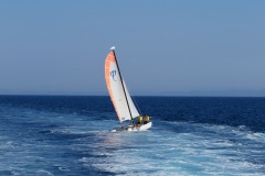 3-MART-IMG_4529