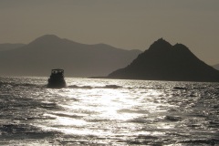 12-ARALIK-1